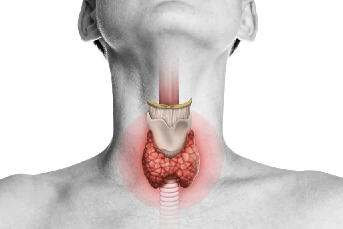 Thyroid and parathyroid specialist care